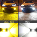 Ampoules Led anti-brouillard toutes marques