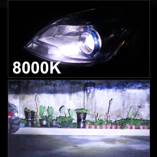 Ampoules LED 360